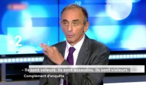 Complément d'enquête (France 2) Zemmour : " Veni, Vidi, Vichy " ?