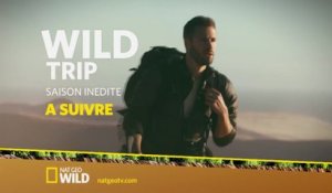 Wild Trip - Nat Geo Wild