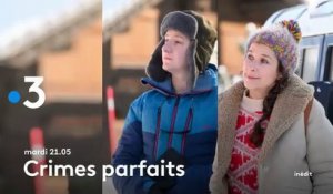 Crimes parfaits (France 2) Comme un froid entre nous
