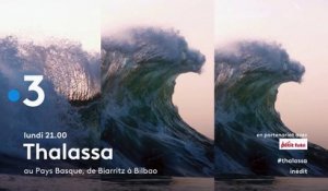 Thalassa (France 3) : De Bilbao à Biarritz, la force de l'océan
