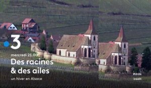 Des racines et des ailes (France 3) - Un hiver en Alsace