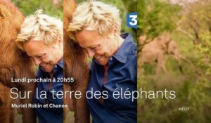 Muriel Robin et Chanee sur la terre des éléphants - 30 10 17 - France 3