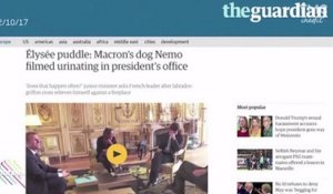 Le zapping du 24/10 : le chien de Macron urine sur un tapis, la presse étrangère s'en mêle