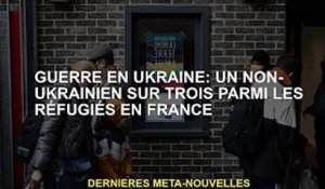 Guerre d'Ukraine : un tiers des réfugiés français ne sont pas Ukrainiens