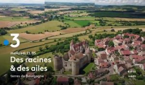 Des racines et des ailes (France 3) Terres de Bourgogne
