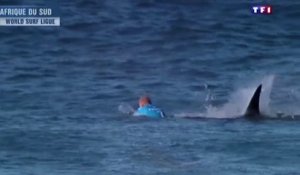 Le zapping du 20/07 : Un surfeur se fait attaquer par un requin lors d’une compétition