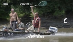 Apocalypse Zoo - 16/07/15