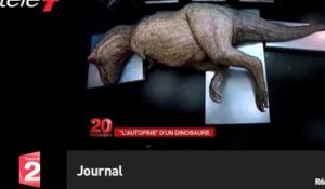 Le zapping du 08/06 : incroyable autopsie d'un dinosaure