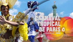 Carnaval tropical de Paris 2016 - 12 06 16