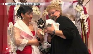 Le zapping du 19/02 : Confessions intimes : le mariage de 2 chihuahuas