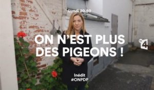 On n'est plus des pigeons ! France 4 - 07 03 16