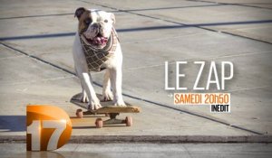 Le Zap - 02/04/16