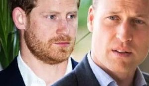 Royal Family LIVE: "Pas quelque chose qu'il peut oublier" La faille de William et Harry mise à nu