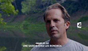 Une saison chez les bonobos- France 4- 18 02 16