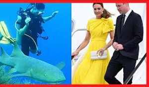 Kate Middleton et le prince William nagent avec des requins : ces images qui éblouissent les inter