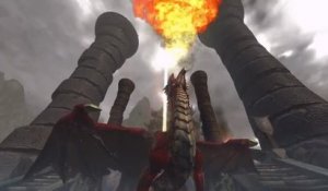 Dungeons & Dragons : Neverwinter : Les dragons... ou pas !