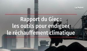 Rapport du Giec : les outils pour endiguer le réchauffement climatique