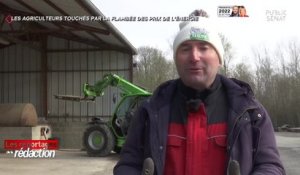 Les agriculteurs touchés par la flambée des prix de l'énergie - Les reportages de la rédaction (08/04/2022)