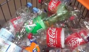 Plastique : Les consommateurs récompensés pour le recyclage de leurs bouteilles