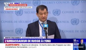 Selon l'Ambassadeur de Russie à l'ONU, l'Ukraine "veut produire des armes de destruction massive biologiques et chimiques"