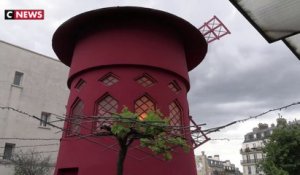 Le moulin du Moulin Rouge ouvre ses portes