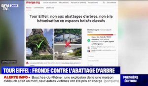 Tour Eiffel: la fronde s'organise contre le projet d'abattage d'arbres