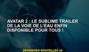 Avatar 2 : La bande-annonce de Sublime Waterways est enfin accessible à tous !