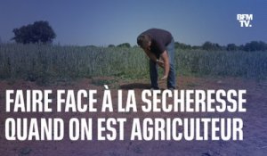 Comment Thierry, agriculteur dans les Deux-Sèvres, fait face à la sécheresse