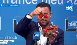 Producteurs de fraises : "une barquette nous revient à 4 euros, en Espagne ? 0,80, délirant !"