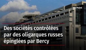 Des sociétés contrôlées par des oligarques russes épinglées par Bercy