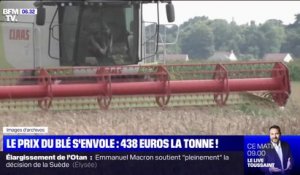 Avec 438 euros la tonne, le prix du blé s'envole et bat un record