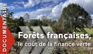 Forêts françaises, en quête d'avenir