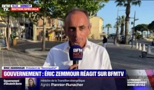 Éric Zemmour: "C'est le gouvernement dont Jean-Luc Mélenchon aurait rêvé"