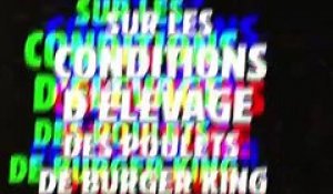 Dans une vidéo, l'association L214 dévoile les conditions d'élevages des poulets servis dans les Burger King en France... et les images font froid dans le dos