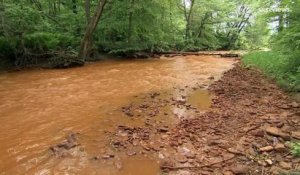Rivière "orange", une catastrophe écologique qui touche la Slovaquie et la Hongrie