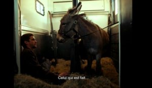Cannes 2022 : 'EO' un film sensible sur la condition animale