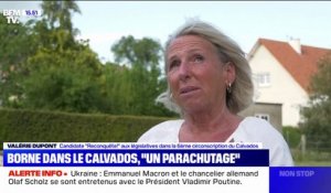 Elisabeth Borne? "Une Parisienne" qui "n'est pas du tout du coin", tacle une candidate Reconquête dans le Calvados