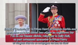 Prince Harry à Buckingham - cette présence feutrée derrière Elizabeth II que personne ne soupçonnait