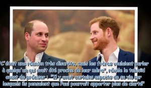William et Harry  ce rendez-vous pris en catimini avec un intime de leur mère Lady Diana