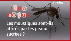 Les moustiques préfèrent-ils vraiment les peaux sucrées ?