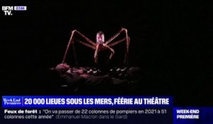 "20 000 lieues sous les mers", féérie au théâtre de la Porte Saint-Martin à Paris