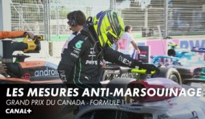 Marsouinage : La FIA réagit - Grand Prix du Canada- F1