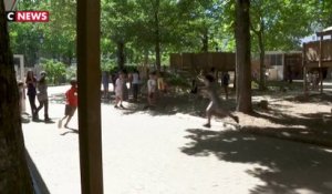 Canicule : oasis de fraîcheur dans les écoles