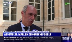 Olivier Marleix, élu d'Eure-et-Loir, désigné président du groupe LR à l'Assemblée nationale