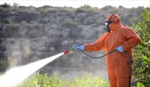 La Commission européenne propose un plan visant à réduire l'utilisation de pesticides