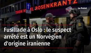 Fusillade à Oslo : le suspect arrêté est un Norvégien d'origine iranienne
