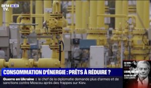 TotalEnergies, EDF et Engie appellent à réduire "immédiatement" notre consommation d'énergie