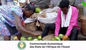 CEDEAO _ un nouveau programme de sécurité alimentaire lancé