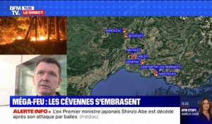 Méga-feu dans le Gard: l'incendie n'est "pas totalement fixé" et pourrait durer "plusieurs jours"