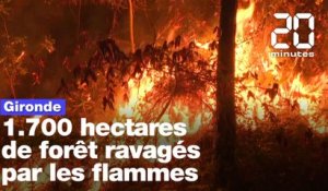 Gironde: 1.700 hectares de forêt ravagés par les flammes